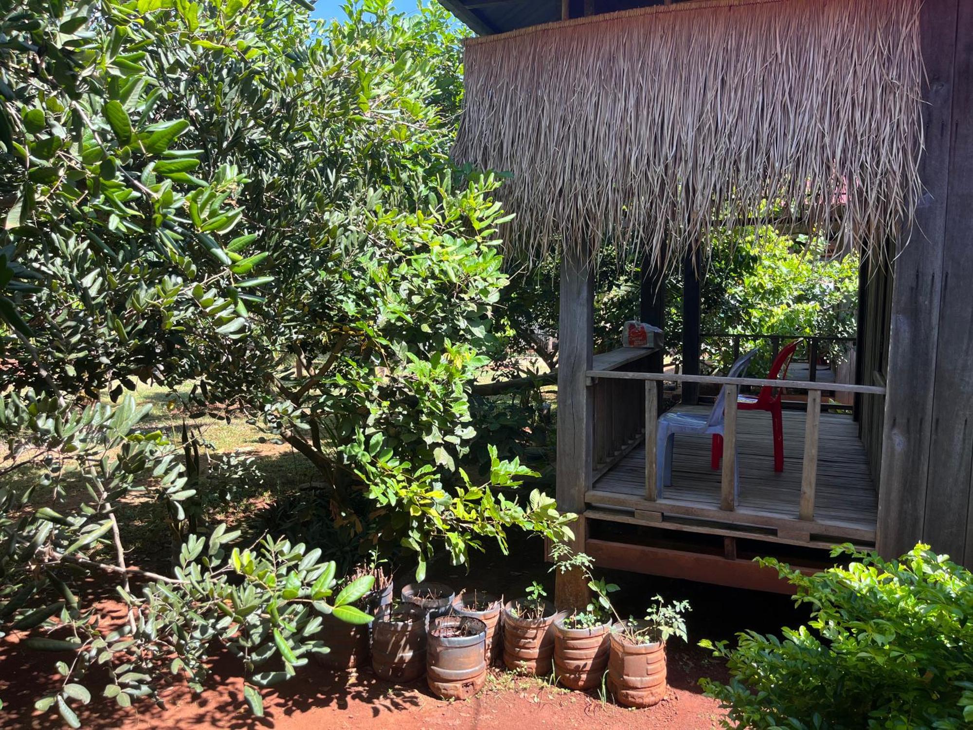 Ratanakiri Farmhouse & Trekking Banlung Экстерьер фото