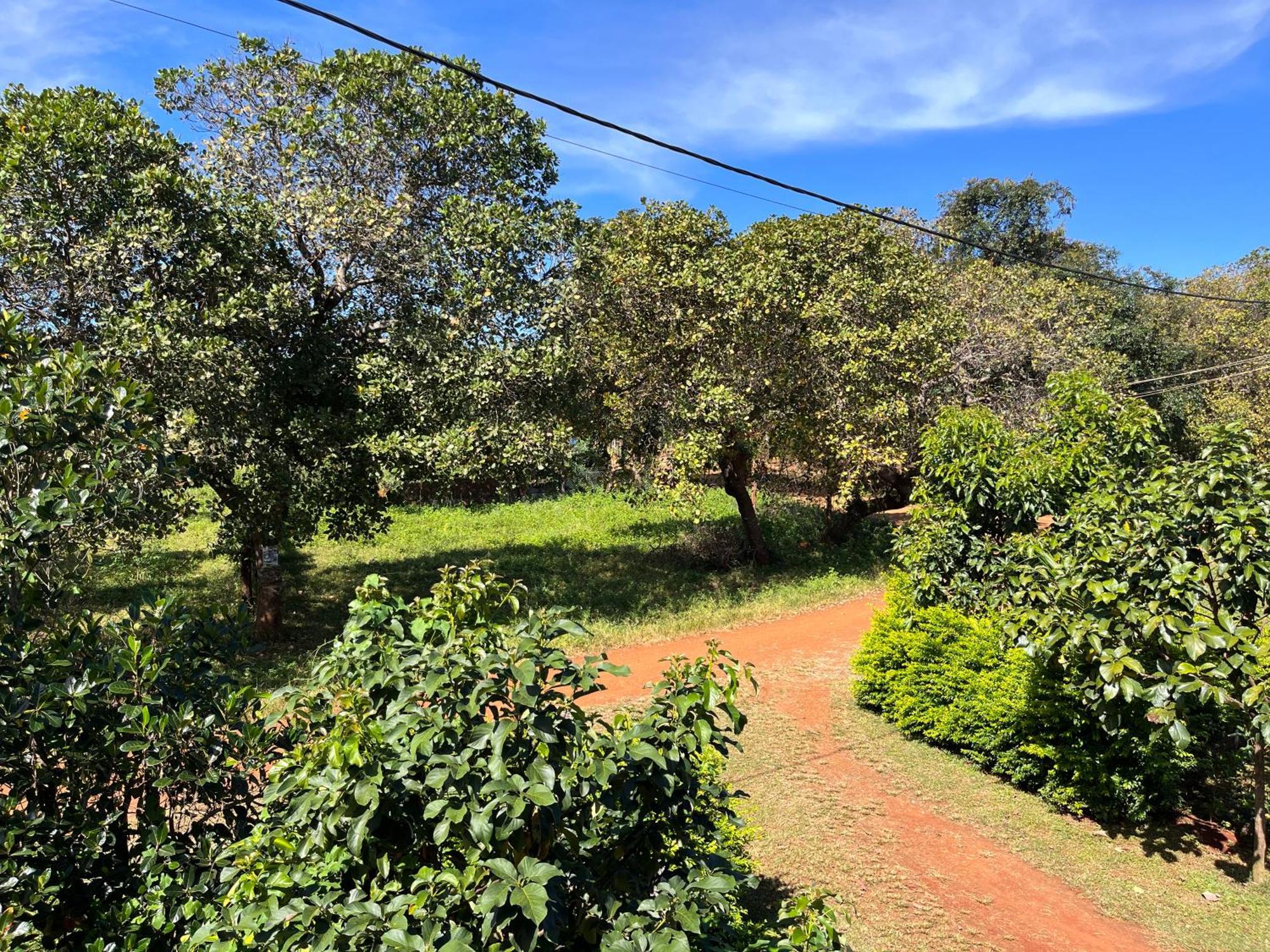 Ratanakiri Farmhouse & Trekking Banlung Экстерьер фото